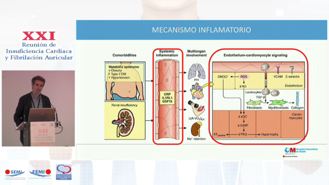 Importancia de las comorbilidades en la evolución de la ICFEP