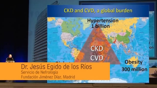  Diabetes y síndrome cardiorrenal 