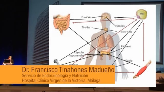 Dr. Francisco Tinahones Madueño: Déficit de vitamina D, diabetes y enfermedad cardiovascular