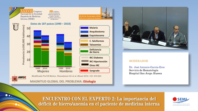 Encuentro con el experto 2: La importancia del déficit de hierro/anemia en el paciente de medicina interna