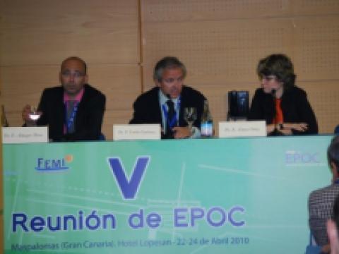 V Reunión de EPOC