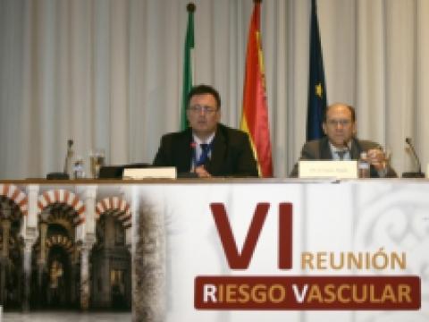 VI Reunión de Riesgo Vascular