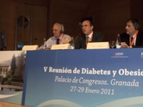 V Reunión de Diabetes y Obesidad