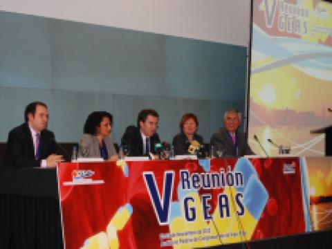 V Reunión Enfermedades Autoinmunes Sistémicas