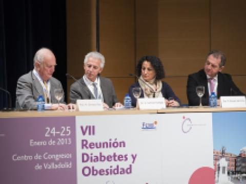 VII Reunión de Diabetes y Obesidad