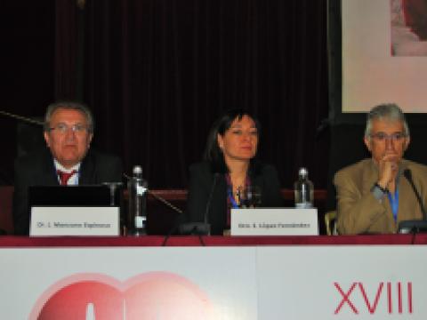 XVIII Reunión de IC y FA