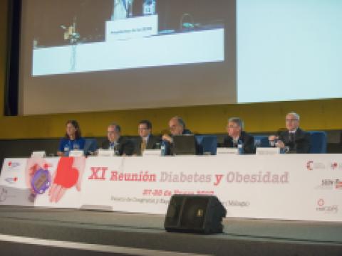 img-xi-reunion-diabetes-obesidad-005.jpeg