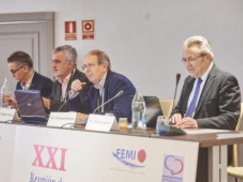 img-xxi-reunion-icyfa-017.jpg